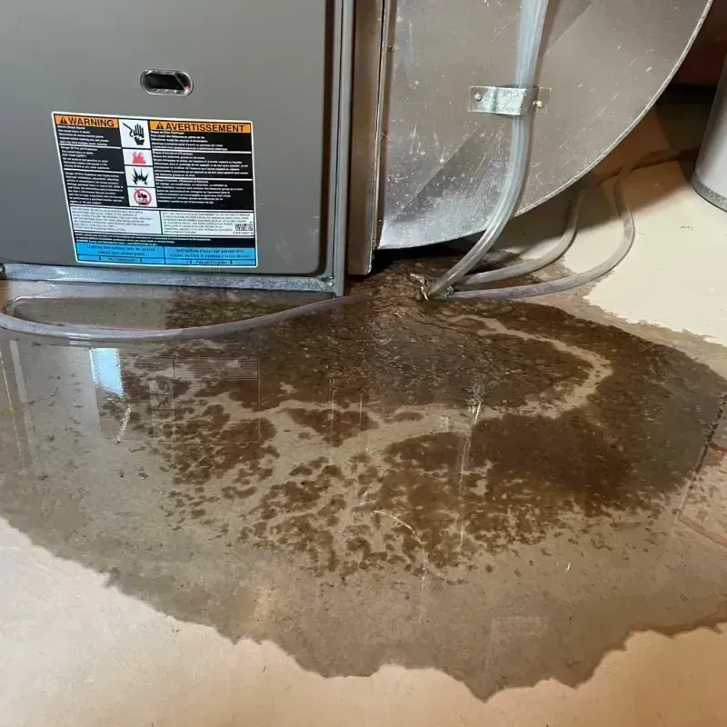 Appliance Leak Cleanup in Black Earth, WI